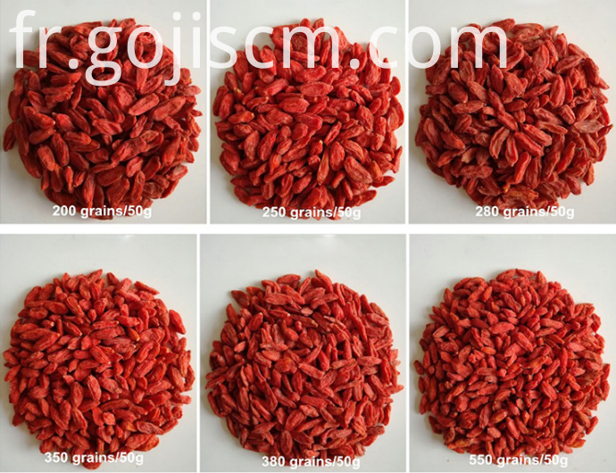 Nouvelles tailles naturelles de baies de Goji New Natural Goji Berry sizes